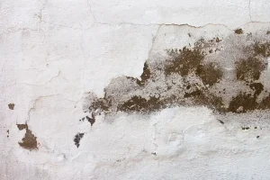 Traces-dhumidite-sur-un-mur-interieur-causees-par-des-remontees-capillaires.webp
